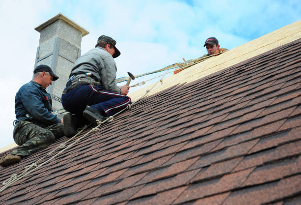 Trusted Chocowinity, NC Roofing Contractor Experts